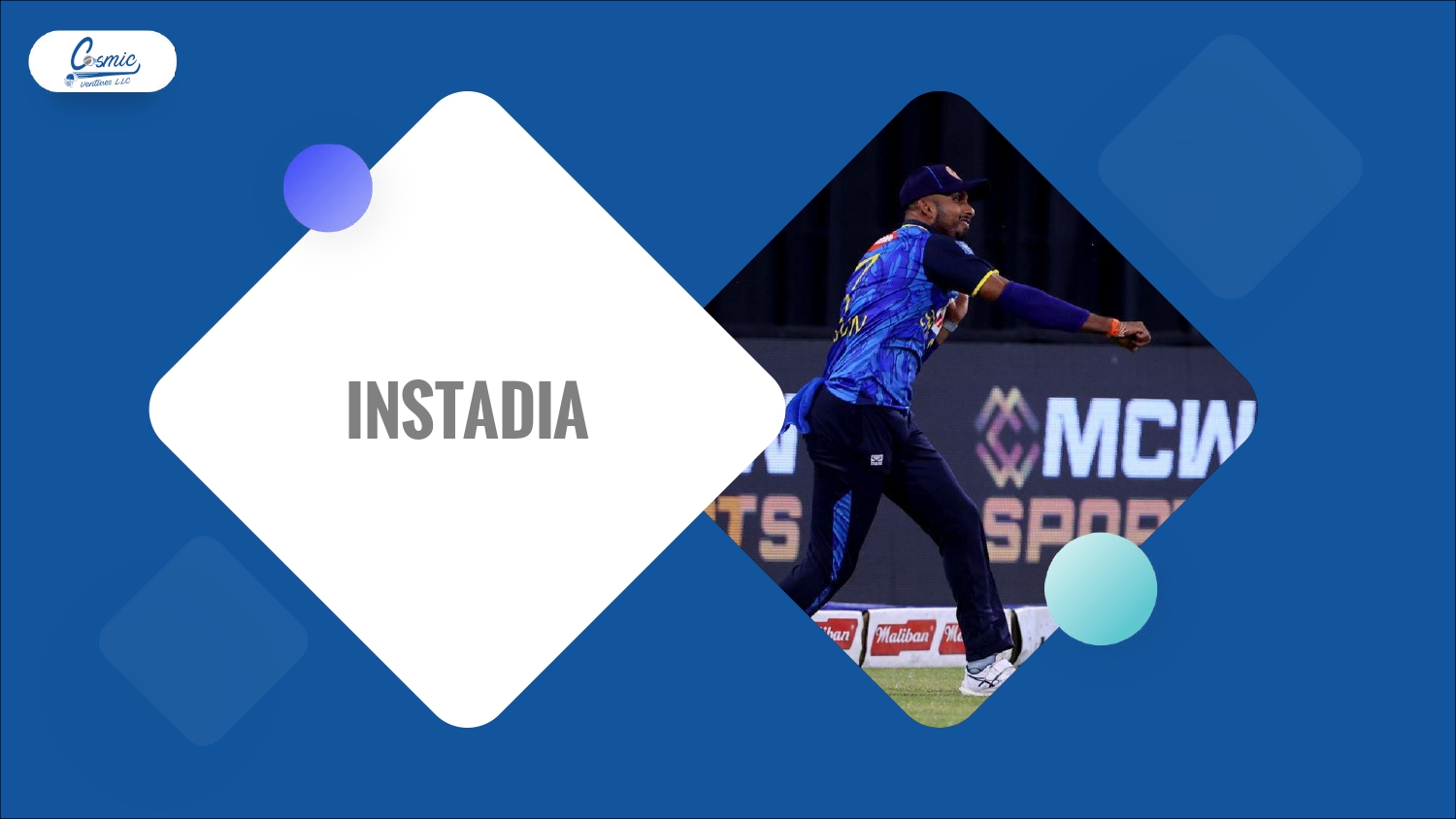 Cosmic Ventures Profile (Nov-28-2025)_page-0018