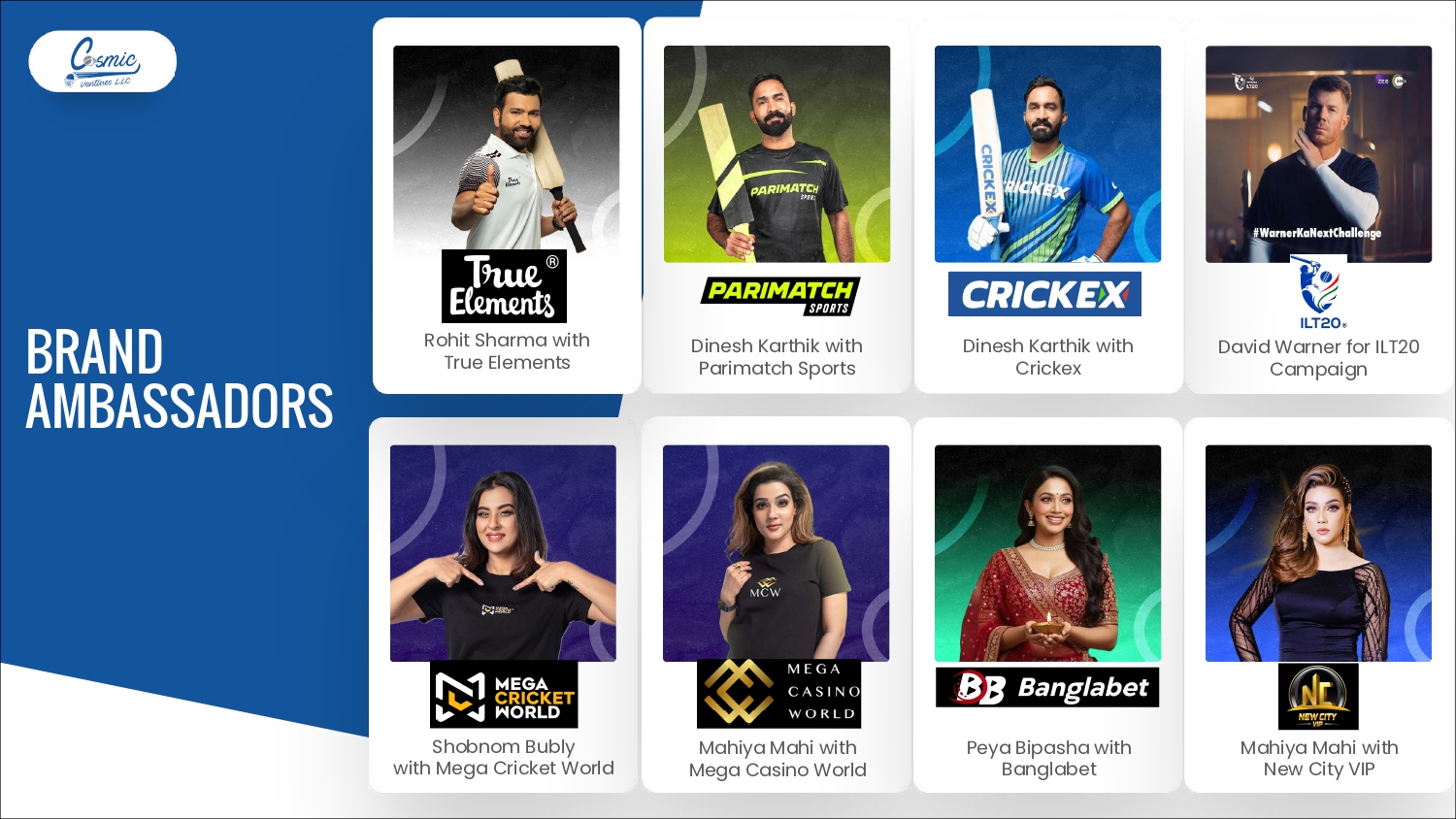 Cosmic Ventures Profile (Nov-28-2025)_page-0029