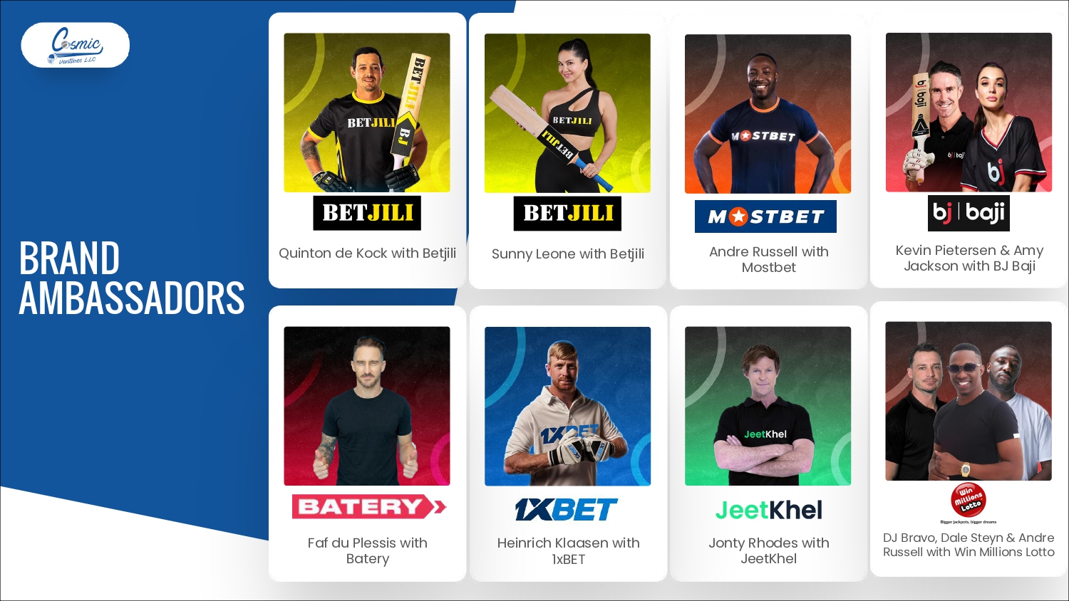 Cosmic Ventures Profile (Nov-28-2025)_page-0030