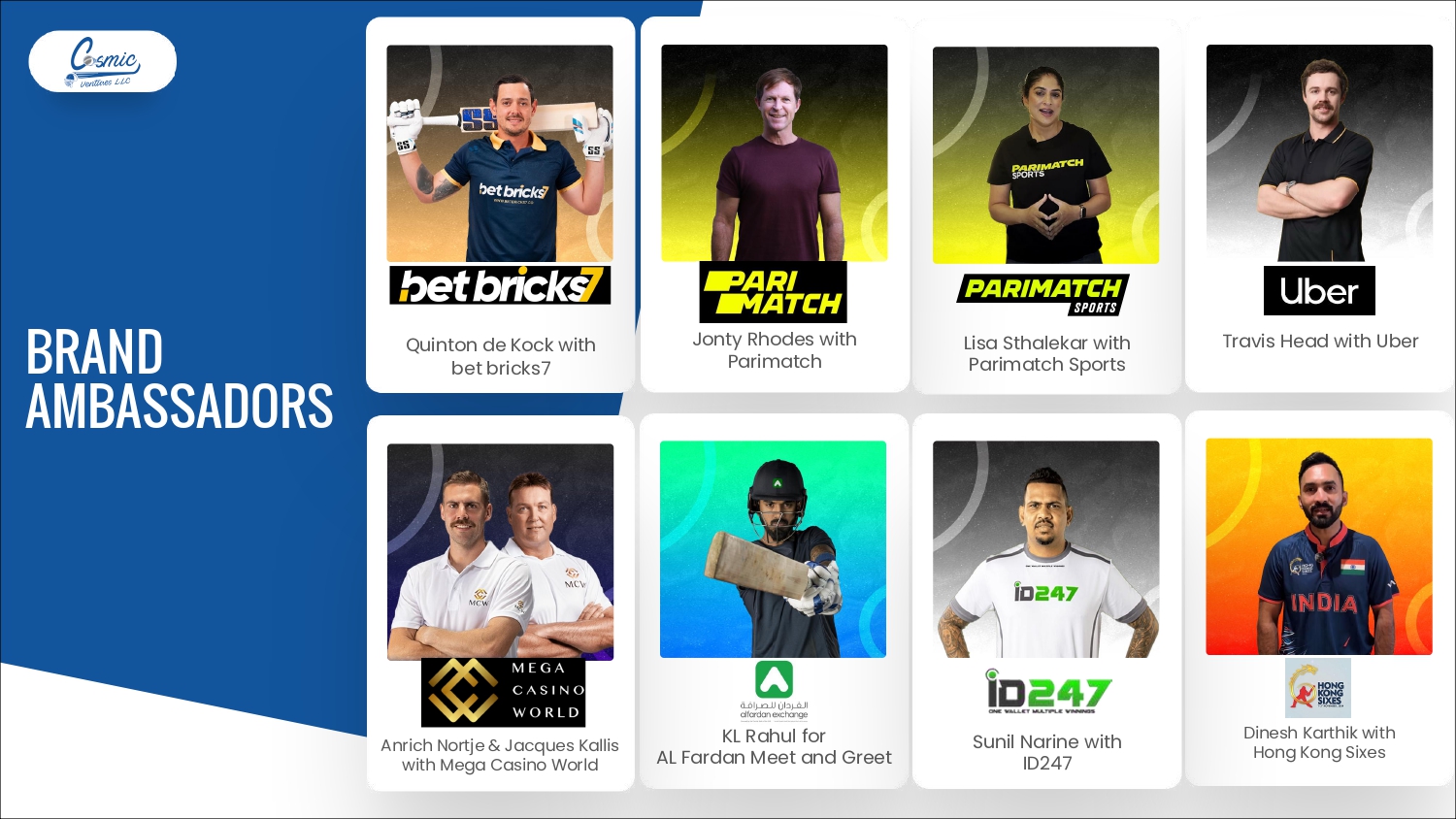 Cosmic Ventures Profile (Nov-28-2025)_page-0031