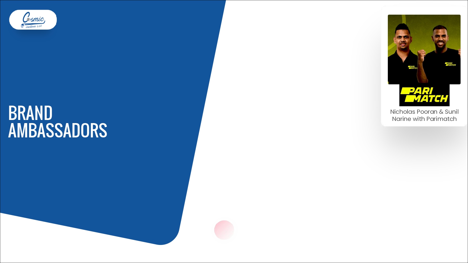 Cosmic Ventures Profile (Nov-28-2025)_page-0032